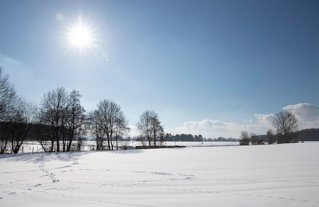 view of the field with snow and winter landscape