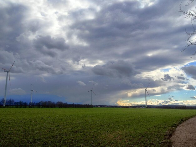 Photo view of field with wind turbines in background