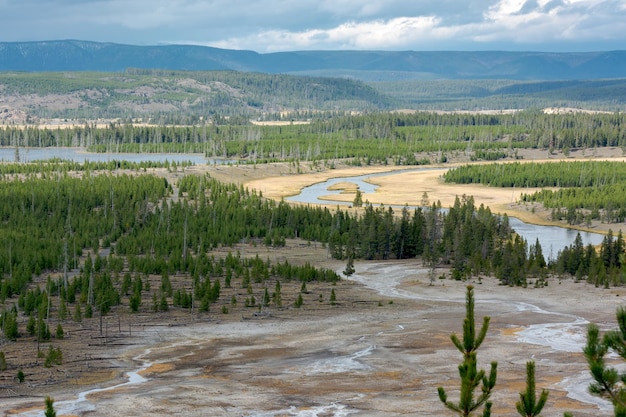 View of the Firehole River in Yellowstone National Park