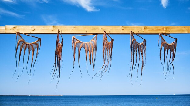 View of fish hanging on sea against sky