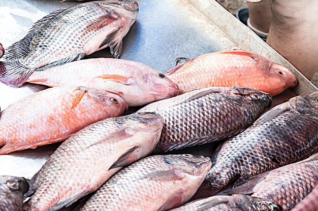 View of fish for sale at market