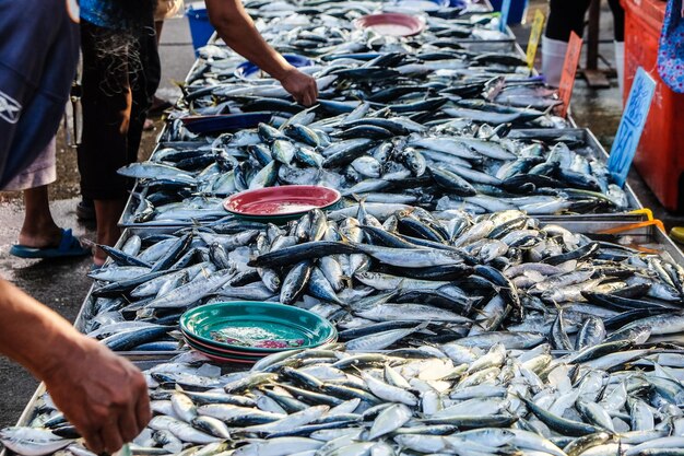 市場で販売されている魚の景色