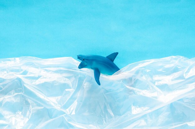 View of fish swimming in sea