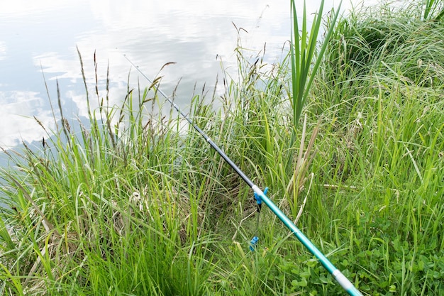 湖のほとりの草の上に横たわっている釣り竿のビュー