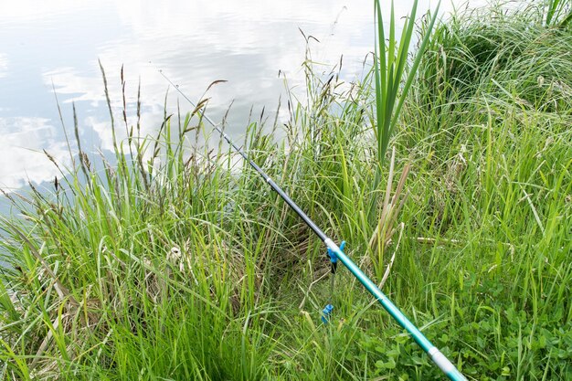 湖のほとりの草の上に横たわっている釣り竿のビュー