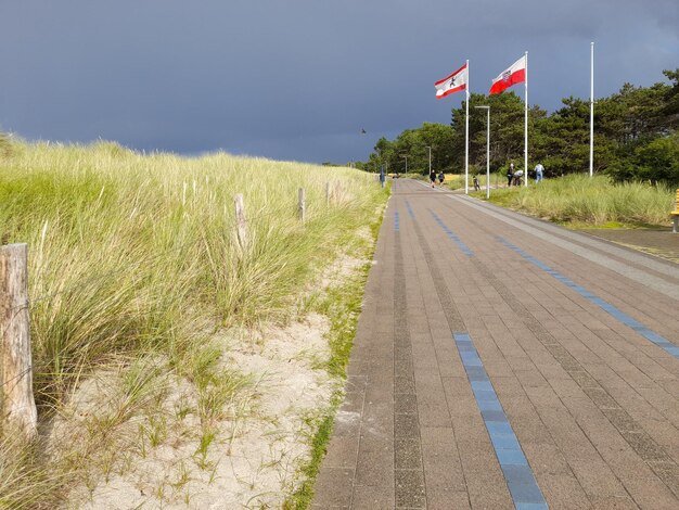 View of  flags