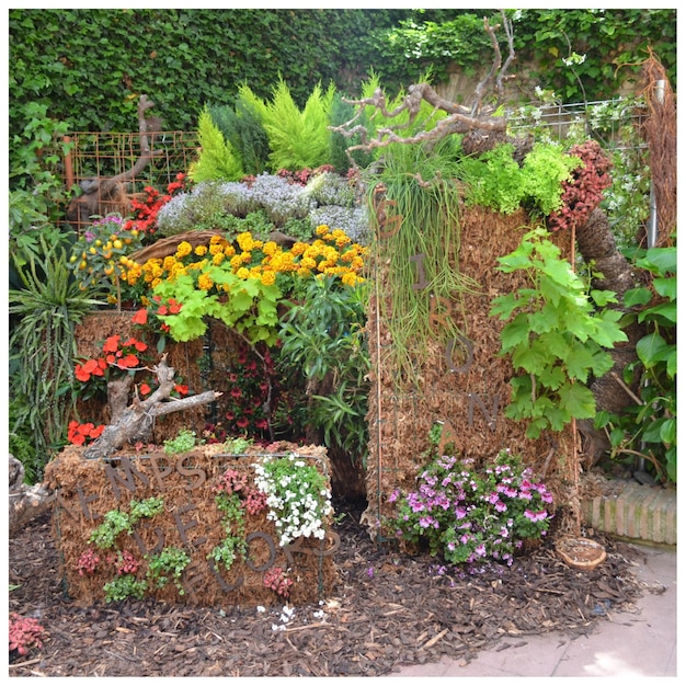 Photo view of flower bed in garden