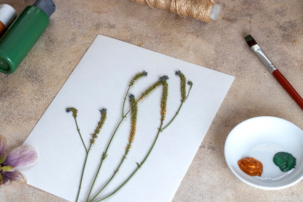 above view flower press technique still life