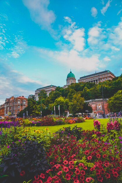 View of flowering plants by buildings against cloudy sky