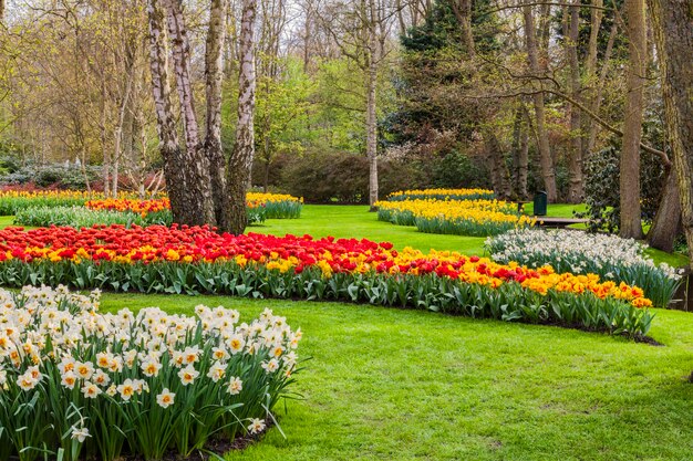 View of flowering plants in garden