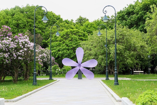 Photo view of flowering plants in park