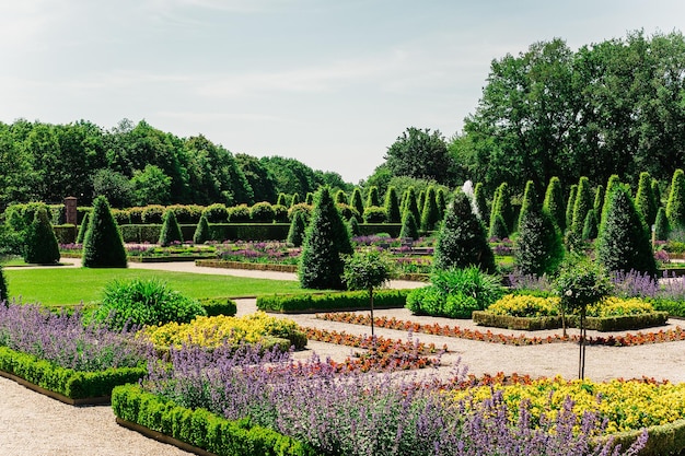 公園で花をかせる植物の景色