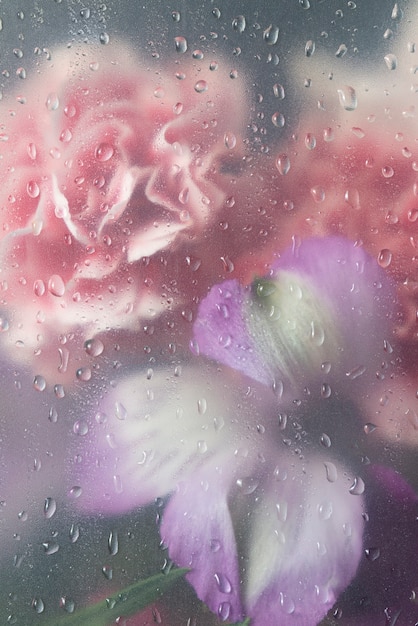 Foto vista dei fiori dietro il vetro condensato