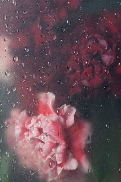 View of flowers behind condensed glass