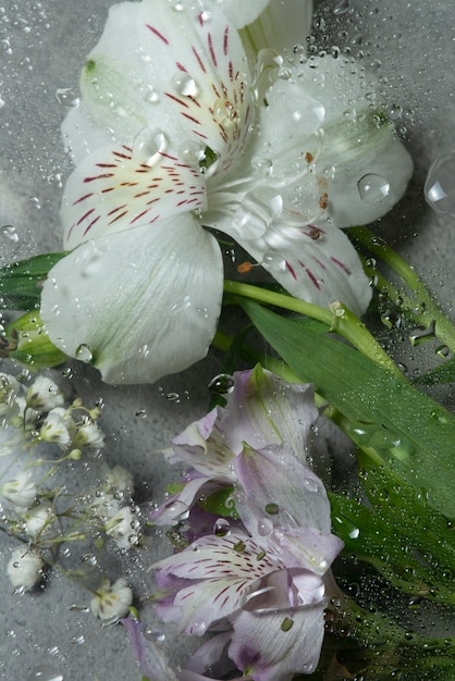 Photo view of flowers behind glass with water drops