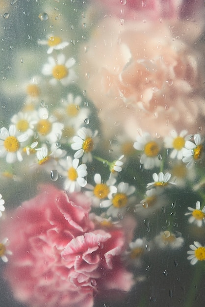 Vista dei fiori dietro il vetro con gocce d'acqua