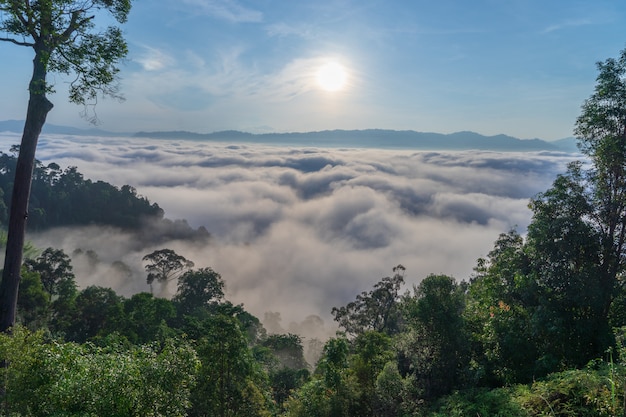 La vista della nebbia ha riguardato la montagna nel distretto di aiyoeweng, tailandia del sud, con gli alberi.