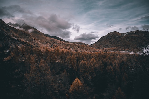 Vista sulle montagne nebbiose delle alpi in autunno