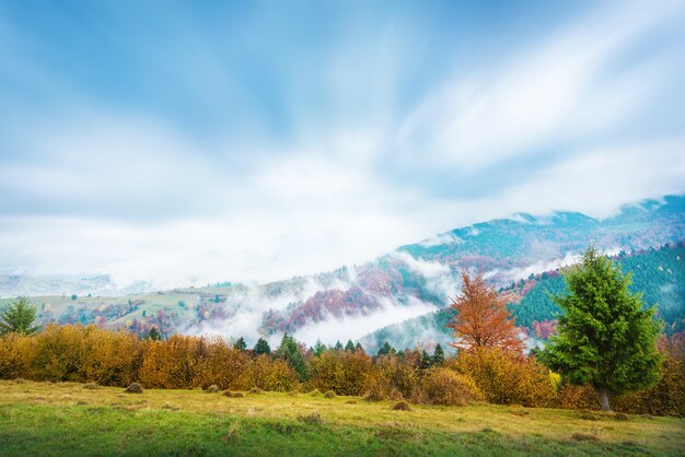 View of foggy autumn day in mountains and beautiful valley with colorful trees