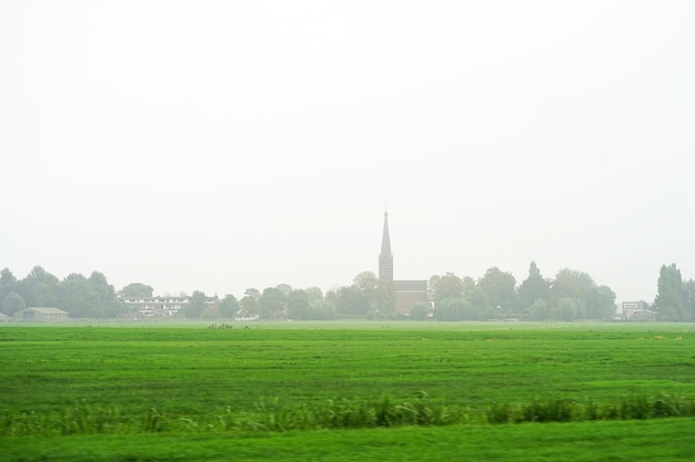 View of a foggy field