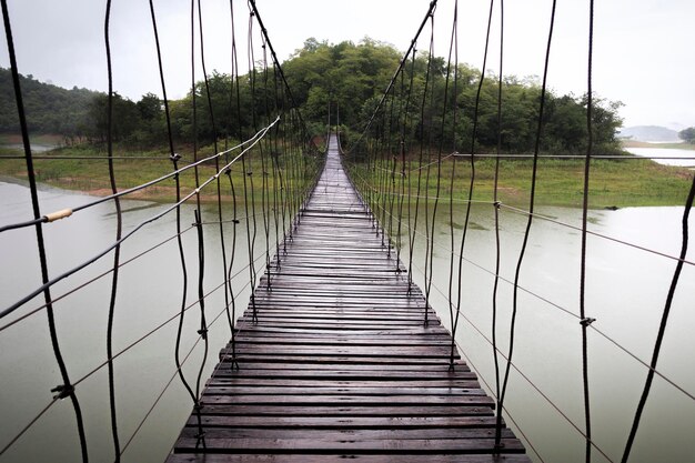 Foto vista del ponte pedonale lungo le piante