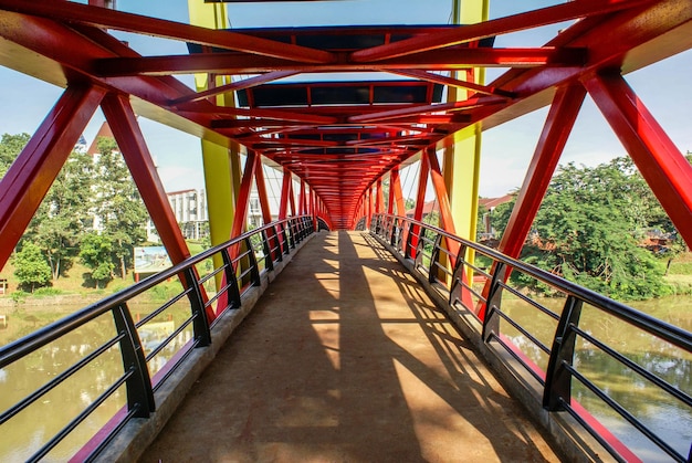 Photo view of footbridge along trees