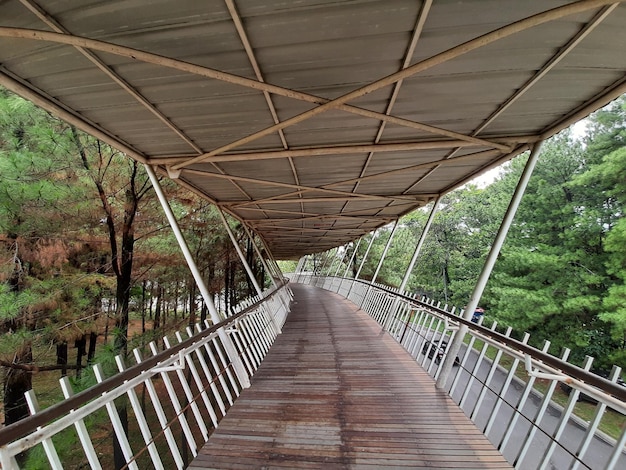 Вид пешеходного моста в лесу