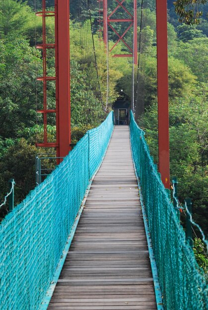 Foto vista di un ponte pedonale nella foresta