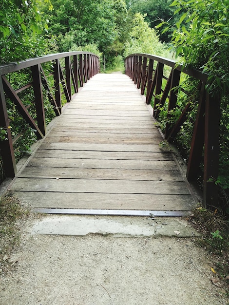 Photo view of footbridge in forest