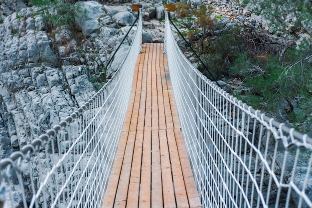 Photo view of footbridge in forest