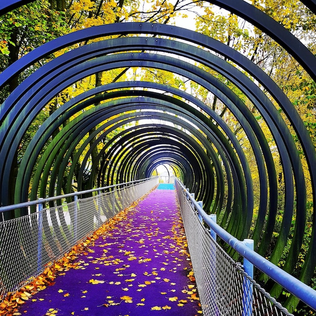 Foto vista del ponte pedonale nel parco