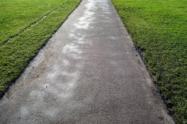 View of a footpath in a green park
