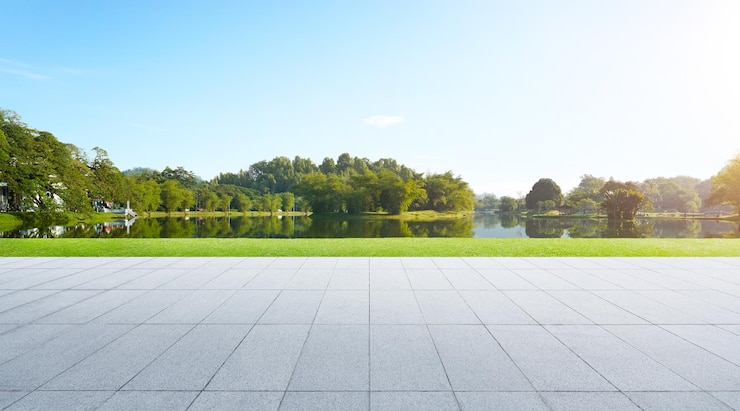 Photo view of footpath in park against clear sky