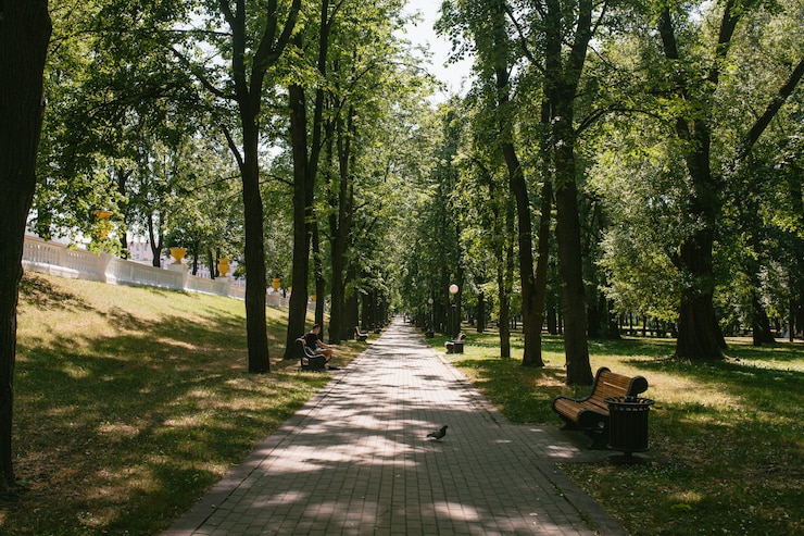 Фотография вид на пешеходную дорожку в парке