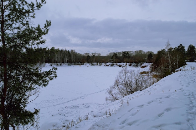 View of the forest lake and people walking on its ice