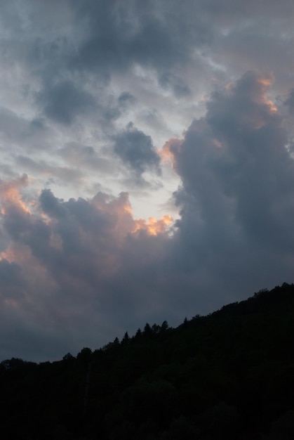 Photo view on forest under sunset sky