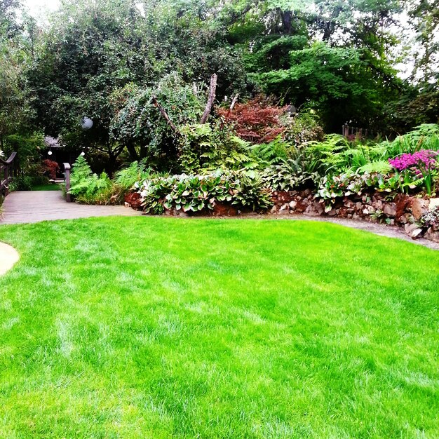 View of formal garden