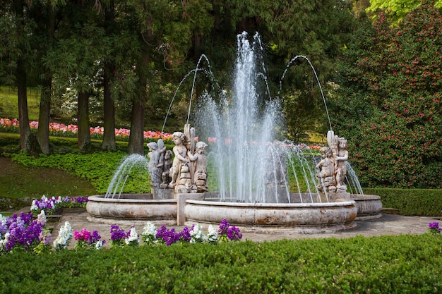 Foto vista della fontana nel parco