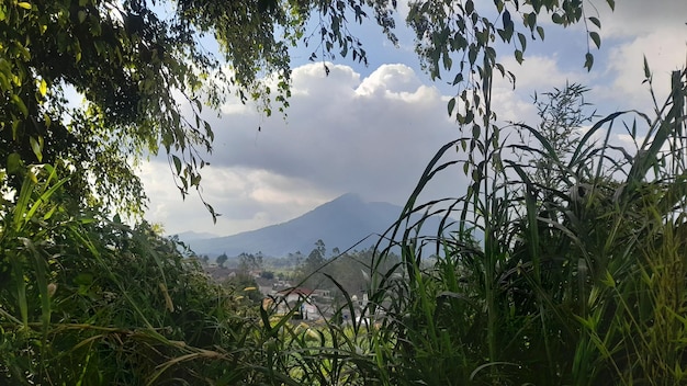 a view from the balcony of the house we stayed in