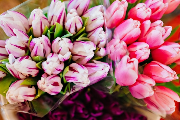 view from above. bouquets of pink and white tulips. flower shop. florist services. traditional gift to a woman for birthday, date, valentine's day.