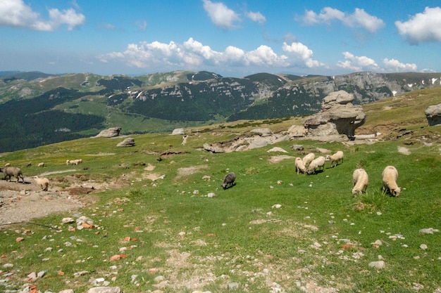 Вид с горы Буцеги, Румыния, Национальный парк Буцеги