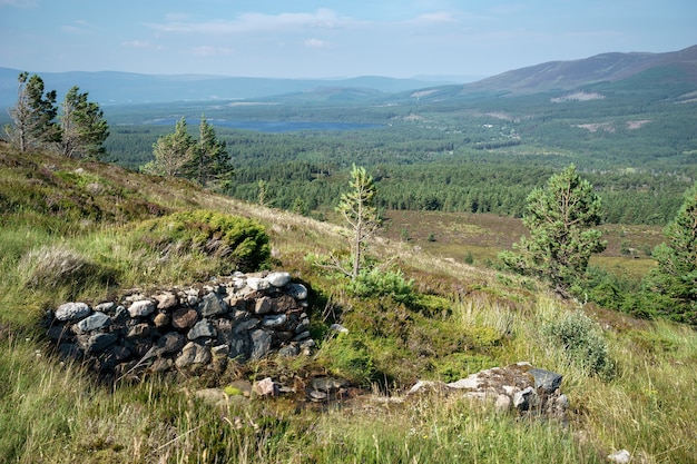 Cairngorms에서 Loch Morlich를 향한 전망