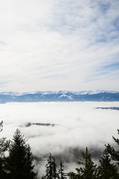 View from Cerenova rock in West Tatras near Liptovsky Mikulas city in foggy weather Slovakia