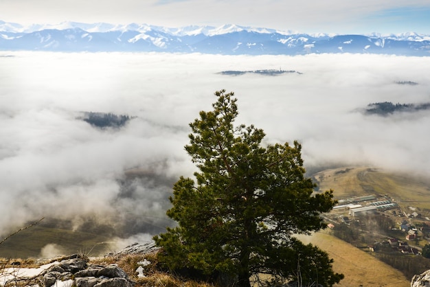 View from Cerenova rock in West Tatras near Liptovsky Mikulas city in foggy weather Slovakia