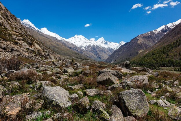 Vista dal villaggio di chitkul himachal pradesh