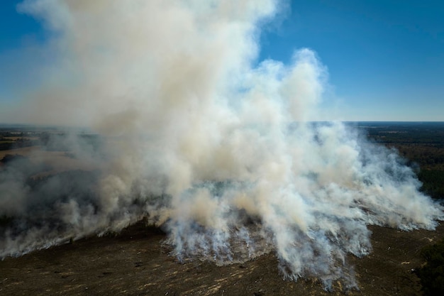 View from above of dense smoke from woodland and field on fire rising up polluting air Concept of natural disaster