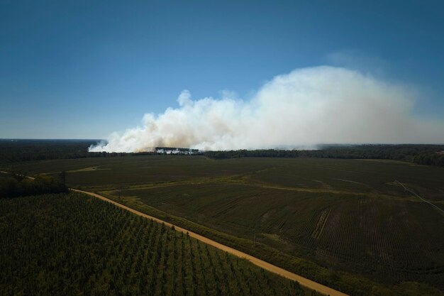 Foto vista dall'alto di fumo denso provenienti da boschi e campi in fiamme che si alza inquinando l'aria concepto di disastro naturale