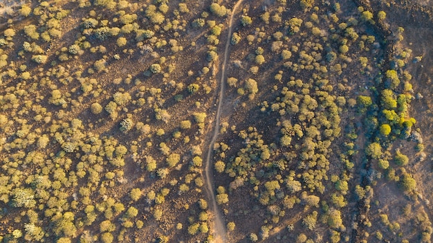 View from the drone of the desert landscape with a path through it, arid landscape with little tropical vegetation