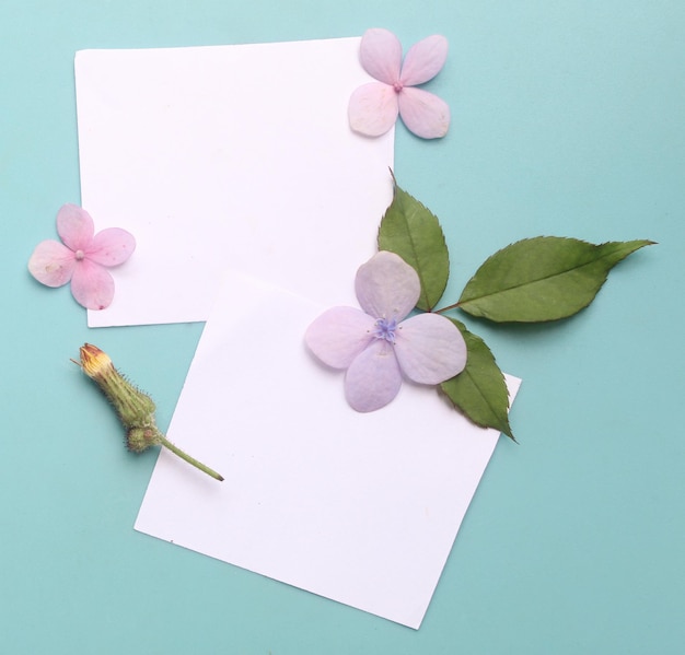 View from above flat lay photo of ordinary object on blue background