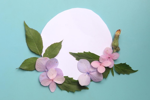 View from above flat lay photo of ordinary object on blue background